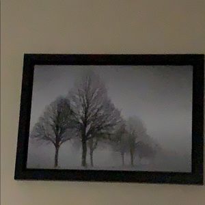 Meet your Posher, Marcy